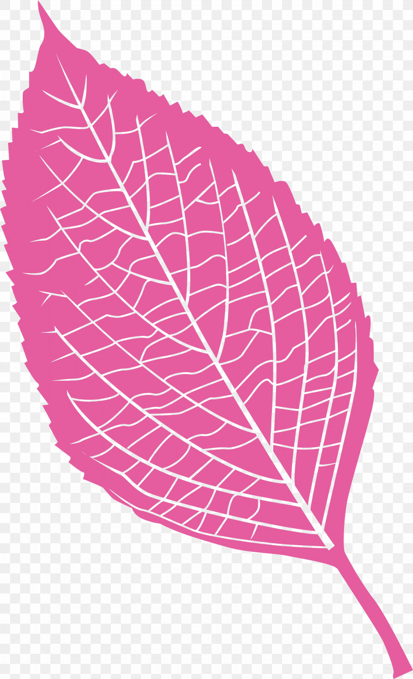 Leaf, PNG, 1821x3000px, Leaf, Biology, Geometry, Lilac, Line Download Free