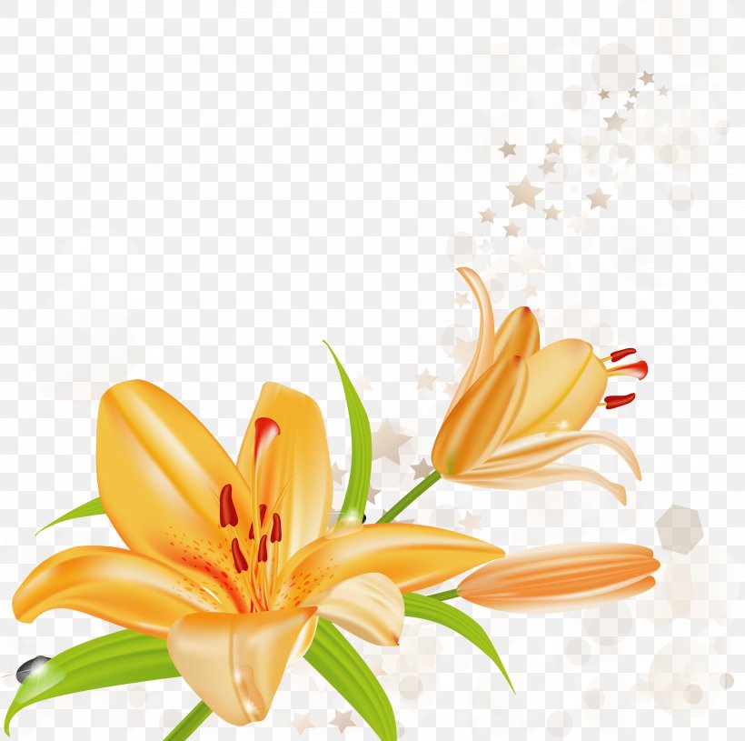 Lilium Bulbiferum Tiger Lily Arum-lily Clip Art, PNG, 3840x3819px, Lilium Bulbiferum, Arumlily, Calla Lily, Daylily, Easter Lily Download Free