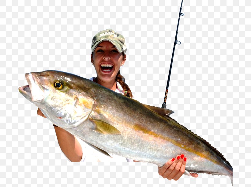 Salmon Fishing Fish Products Jigging, PNG, 700x610px, Salmon, Animal Source Foods, Bonito, Cod, Fish Download Free