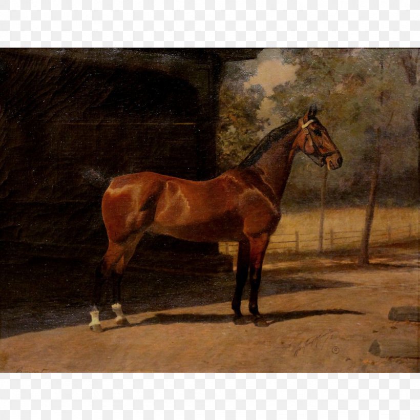 Thoroughbred Mare Oil Painting, PNG, 1024x1024px, Thoroughbred, Art, Artist, Bridle, Canvas Download Free