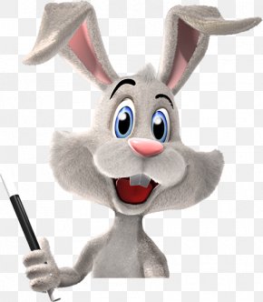 Rabbit Magic - Domestic Rabbit Easter Bunny Hare Magic PNG