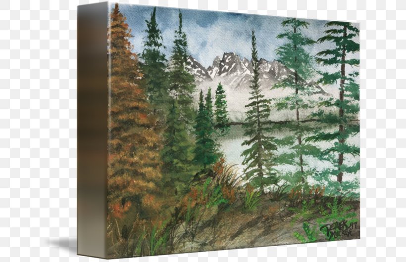 Jackson Hole Mountain Resort Landscape Painting Landscape Painting, PNG, 650x530px, Jackson Hole Mountain Resort, Alamy, Biome, Conifer, Ecosystem Download Free