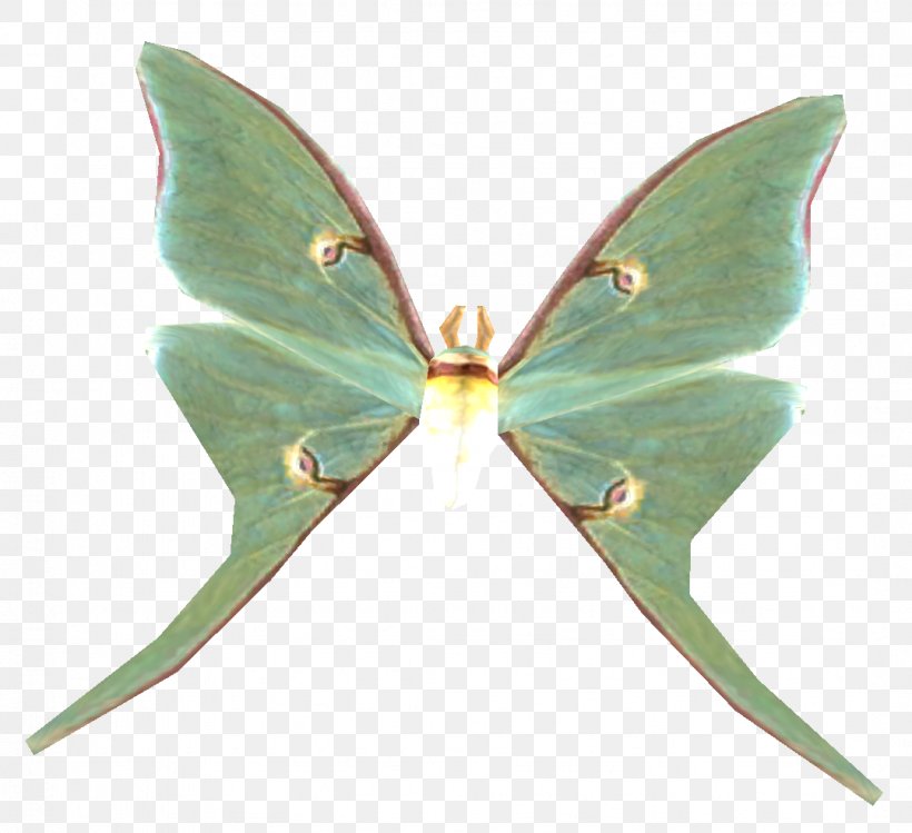 Luna Moth Butterfly The Elder Scrolls V: Skyrim Pterygota, PNG, 1079x986px, Moth, Arthropod, Bethesda Softworks, Brush Footed Butterfly, Butterflies And Moths Download Free
