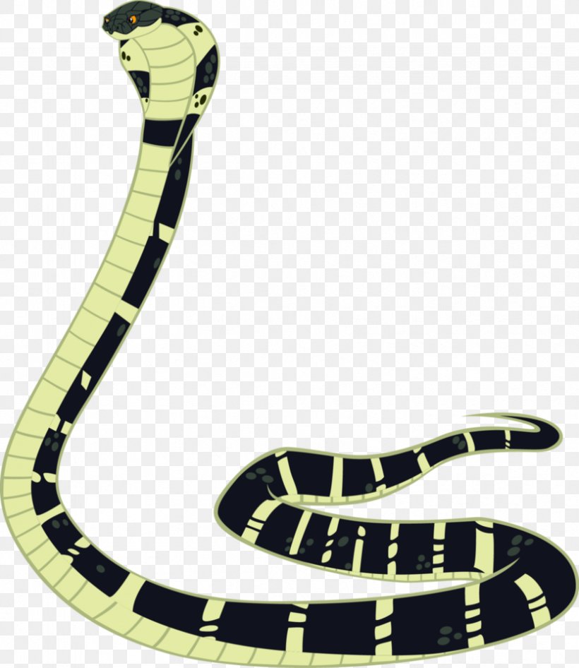 Snake - Mambas Snake Reptile King Cobra Indian Cobra PNG