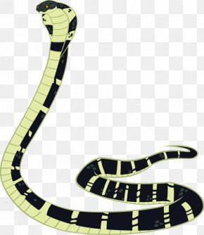 Snake - Mambas Snake Reptile King Cobra Indian Cobra PNG