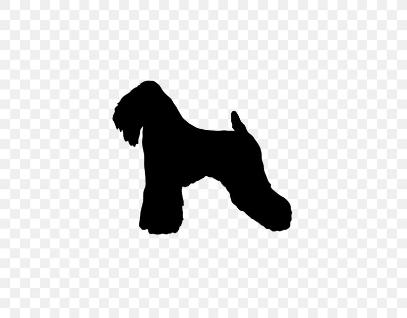 Miniature Schnauzer Puppy Soft-coated Wheaten Terrier Dog Breed Yorkshire Terrier, PNG, 640x640px, Miniature Schnauzer, Black, Boston Terrier, Breed, Carnivoran Download Free