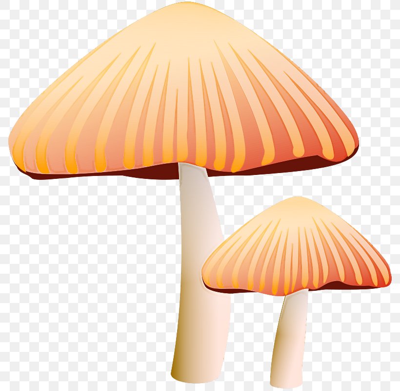 Orange, PNG, 786x800px, Mushroom, Agaricaceae, Agaricomycetes, Edible Mushroom, Lamp Download Free