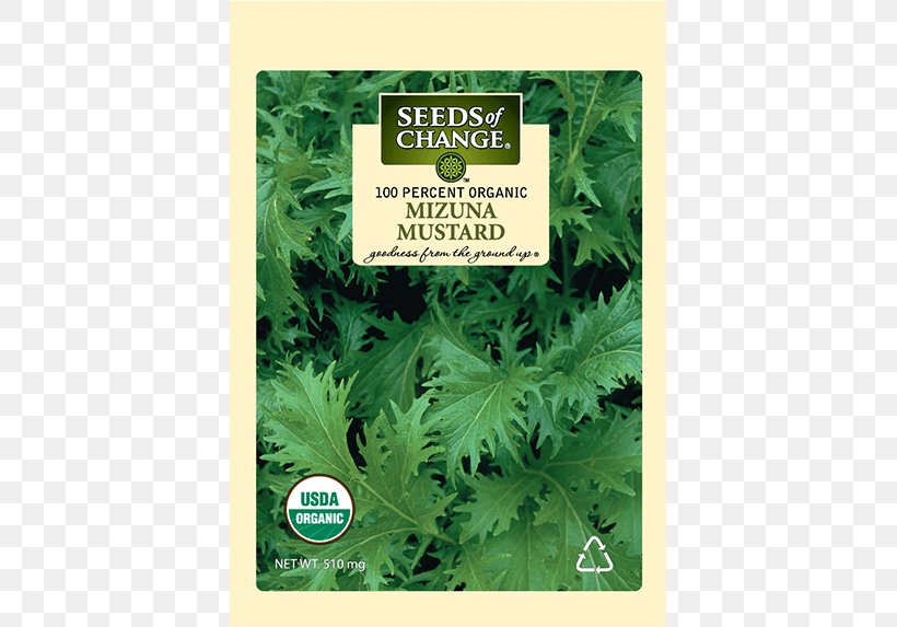 Organic Food Coriander Seeds Of Change Leaf Vegetable, PNG, 573x573px, Organic Food, Amaranth, Amaranth Grain, Amaranthus Cruentus, Coriander Download Free