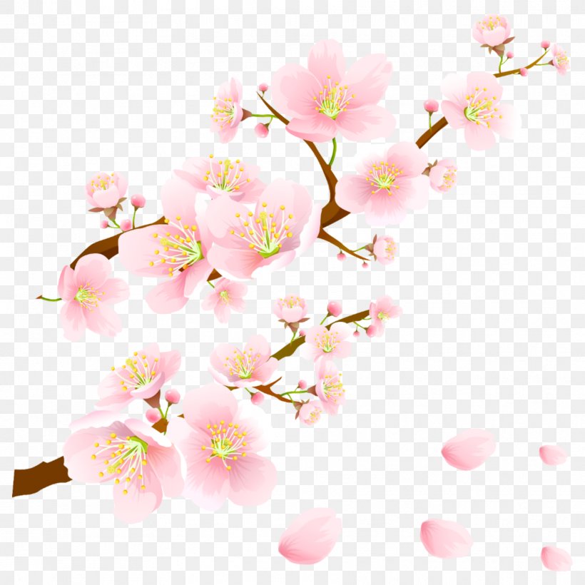 National Cherry Blossom Festival Desktop Wallpaper Image, PNG, 1773x1773px, Cherry Blossom, Blossom, Branch, Cherries, Drawing Download Free