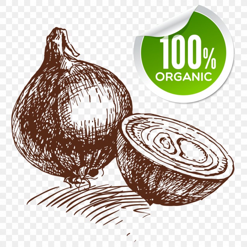 Onion Ring Shallot Vegetable Fried Onion, PNG, 1000x1000px, Onion Ring, Drawing, Food, Fried Onion, Ingredient Download Free