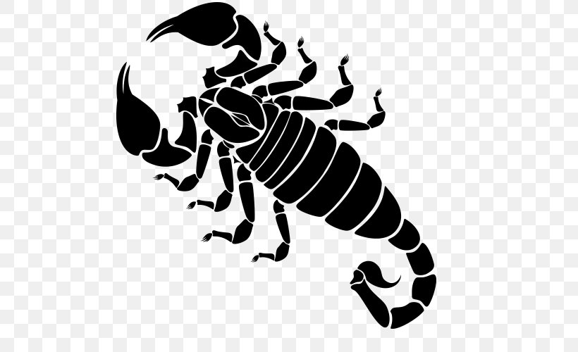 Scorpion Henna Mehndi Tattoo Constellation, PNG, 500x500px, Scorpion, Art, Arthropod, Astronomy, Black And White Download Free