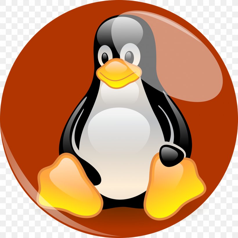Tux Racer Penguin Red Hat Software Red Hat Enterprise Linux, PNG, 1280x1280px, Tux Racer, Beak, Bird, Centos, Fedora Download Free