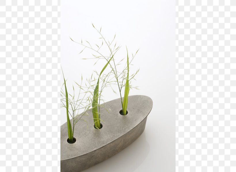 Grasses Flowerpot Ikebana, PNG, 620x600px, Grasses, Flowerpot, Grass, Grass Family, Herb Download Free