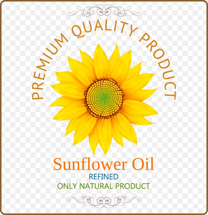 Common Sunflower Sunflower Oil, PNG, 2321x2392px, Common Sunflower, Art, Cdr, Cut Flowers, Daisy Family Download Free