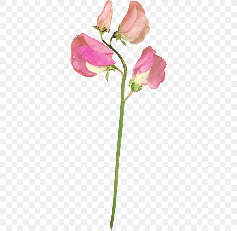 Garden Roses Cut Flowers Tulip, PNG, 334x800px, Garden Roses, Artificial Flower, Bud, Cut Flowers, Floriculture Download Free