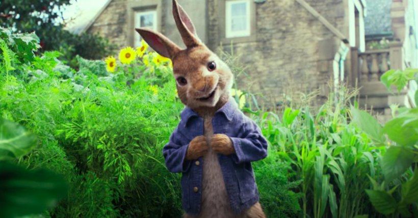 The Tale Of Peter Rabbit Mr. McGregor Film Trailer Cinema, PNG, 1910x1000px, Tale Of Peter Rabbit, Beatrix Potter, Cinema, Domhnall Gleeson, Fauna Download Free