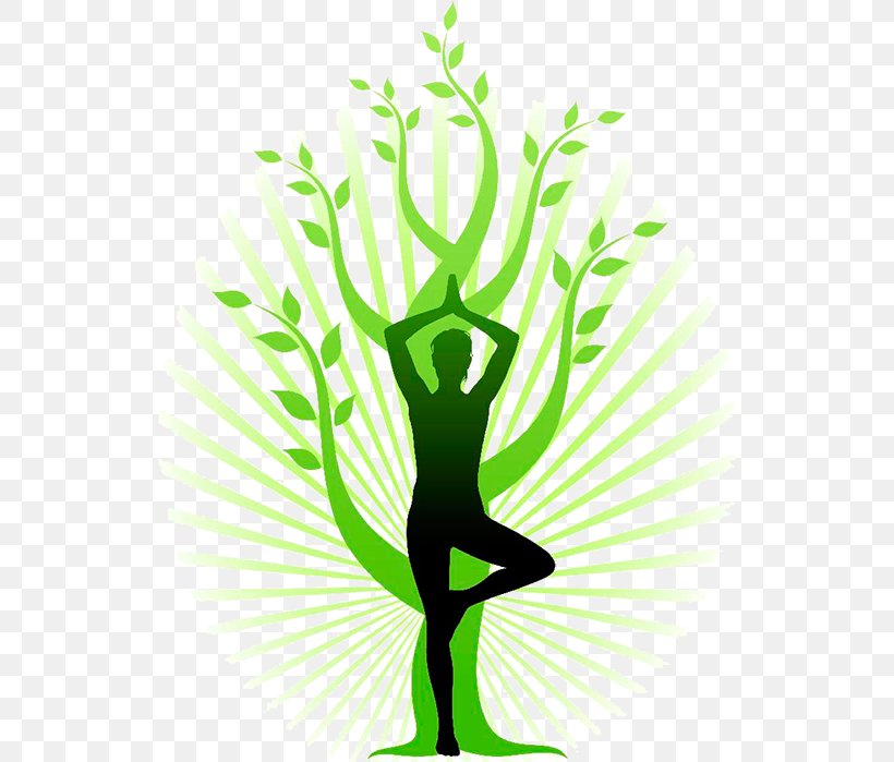 Vriksasana Yoga Posture Tadasana, PNG, 530x699px, Vriksasana, Asana, Balance, Branch, Exercise Download Free