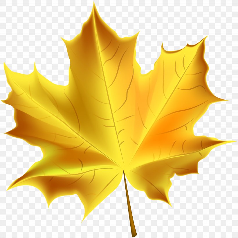 Autumn Leaf Color Clip Art, PNG, 6991x7000px, Autumn Leaf Color, Autumn, Color, Drawing, Leaf Download Free