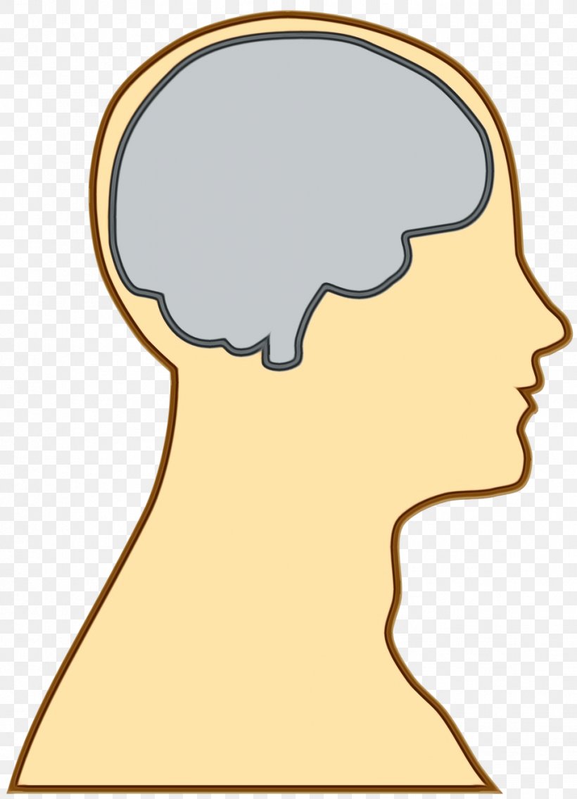 Brain Cartoon, PNG, 958x1327px, Watercolor, Brain, Cheek, Chin, Drawing Download Free