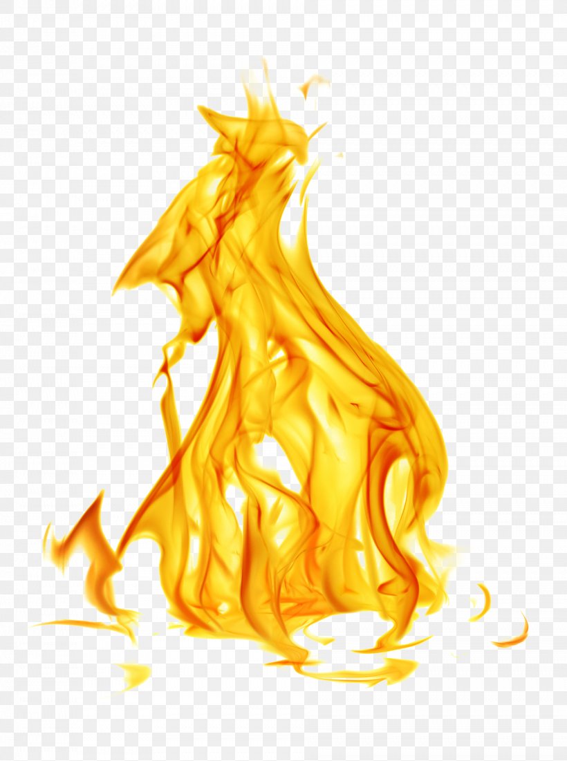 Flame Euclidean Vector Shutterstock, PNG, 1886x2534px, Flame, Art, Banco De Imagens, Combustion, Fictional Character Download Free