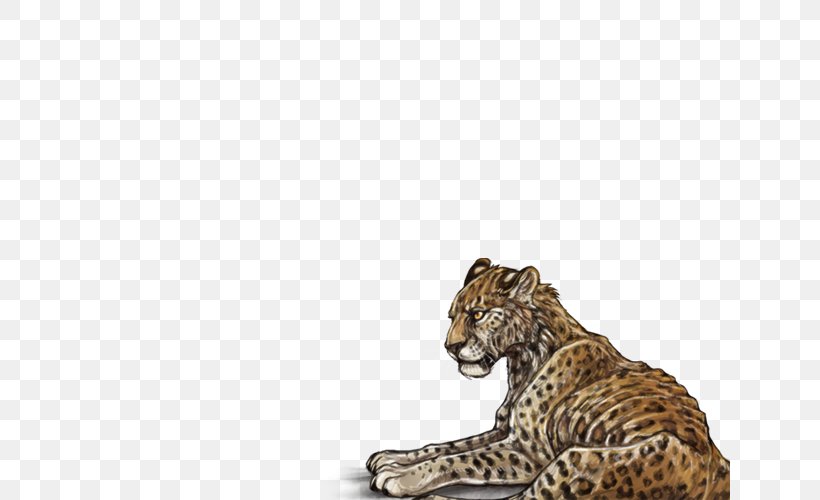 Leopard Cheetah Lion Jaguar Wildlife, PNG, 640x500px, Leopard, Animal, Big Cats, Carnivoran, Cat Like Mammal Download Free