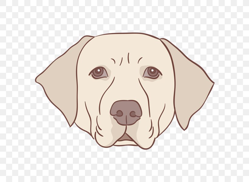 Puppy Labrador Retriever Drawing, PNG, 600x600px, Puppy, Animal, Art, Carnivoran, Cartoon Download Free