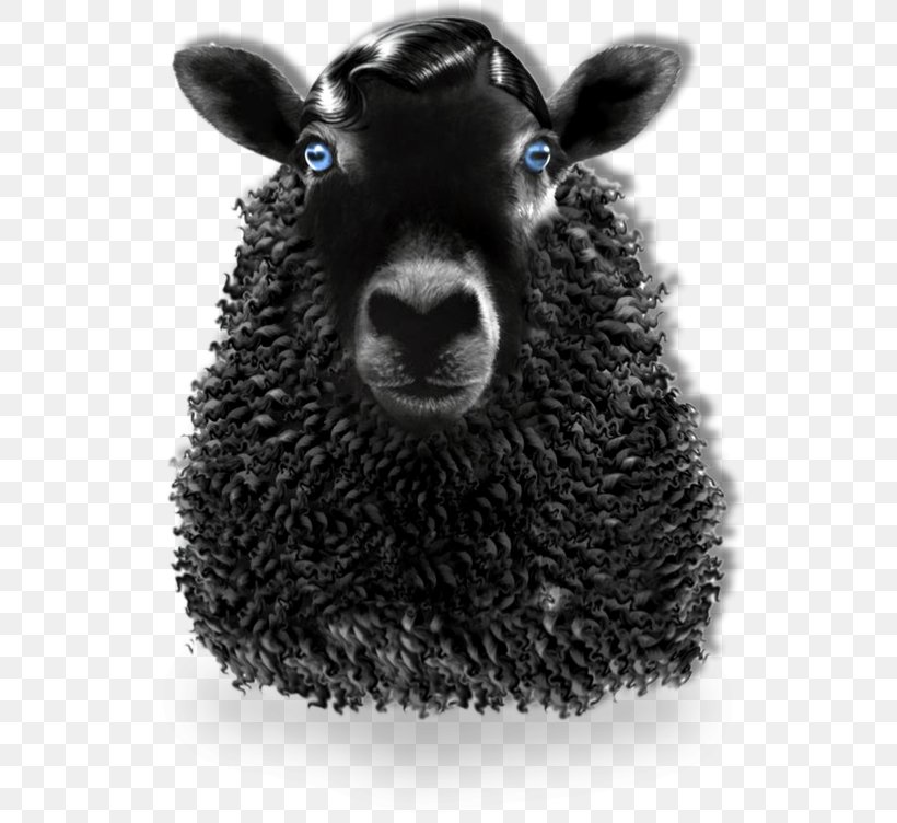 Black Sheep AFM International Independent Film Festival, PNG, 545x752px, Sheep, Advertising, Black And White, Black Sheep, Cattle Like Mammal Download Free