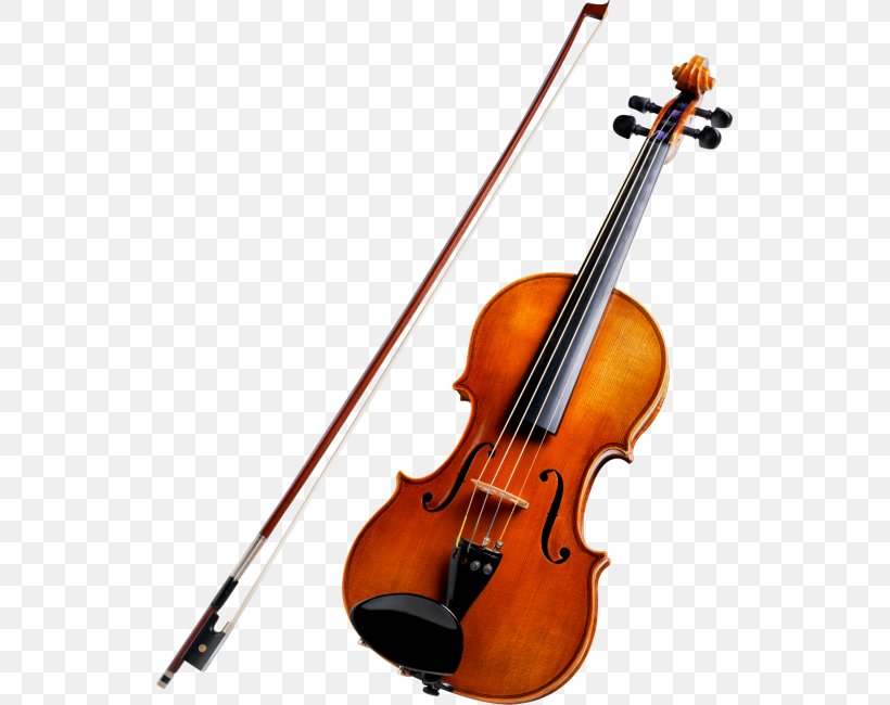 String Instruments Violin Musical Instruments Cello Viola, PNG, 531x650px, String Instruments, Banjo, Bass Guitar, Bass Violin, Bow Download Free