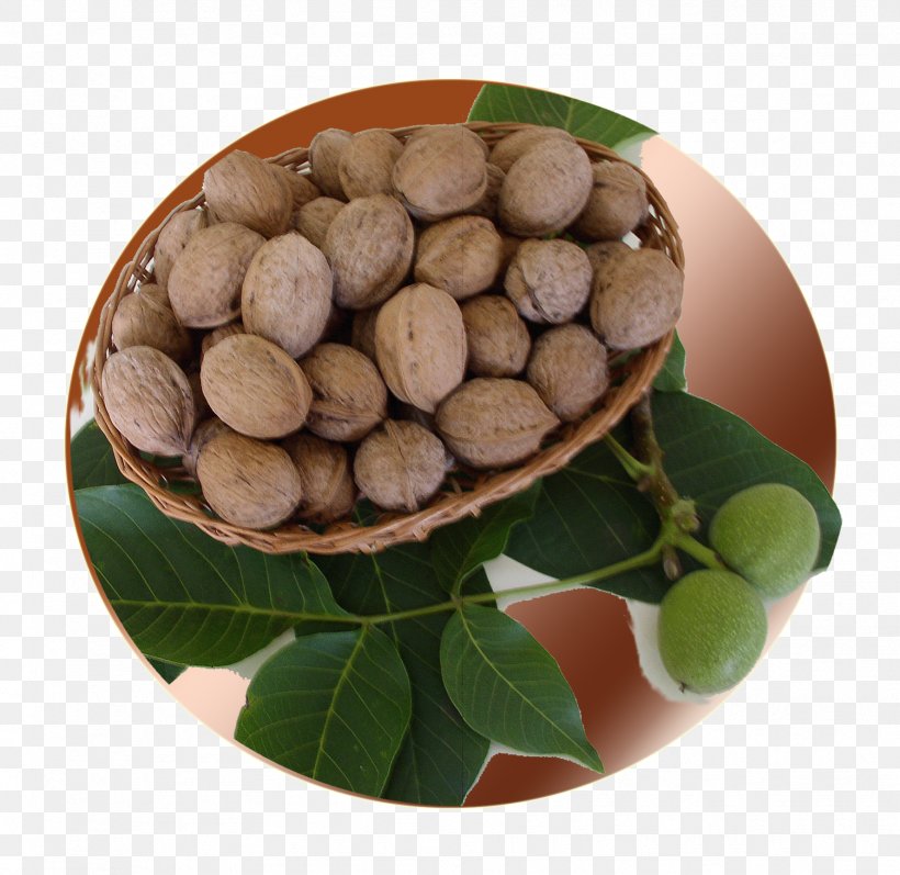 Walnut, PNG, 1777x1728px, Walnut, Fruit, Superfood, Tree, Tree Nuts Download Free