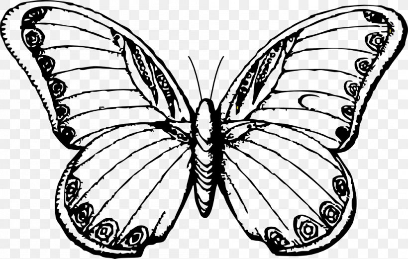 Butterfly Drawing Line Art Black And White Clip Art, PNG, 999x635px, Butterfly, Art, Artwork, Black And White, Bombycidae Download Free