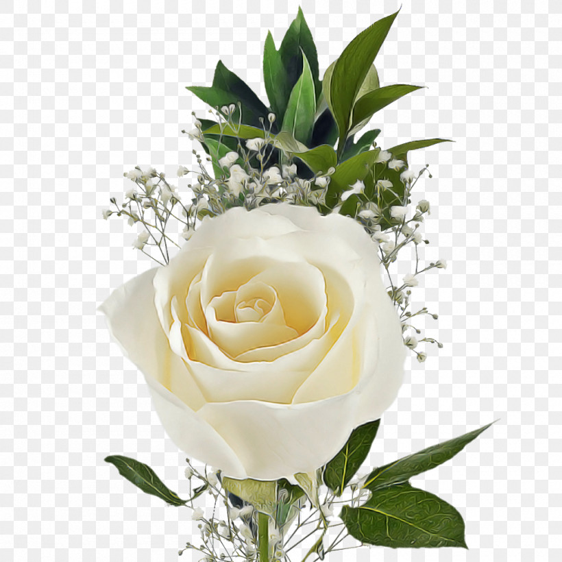 Garden Roses, PNG, 1000x1000px, Rose, Cut Flowers, Floral Design, Floribunda, Floristry Download Free