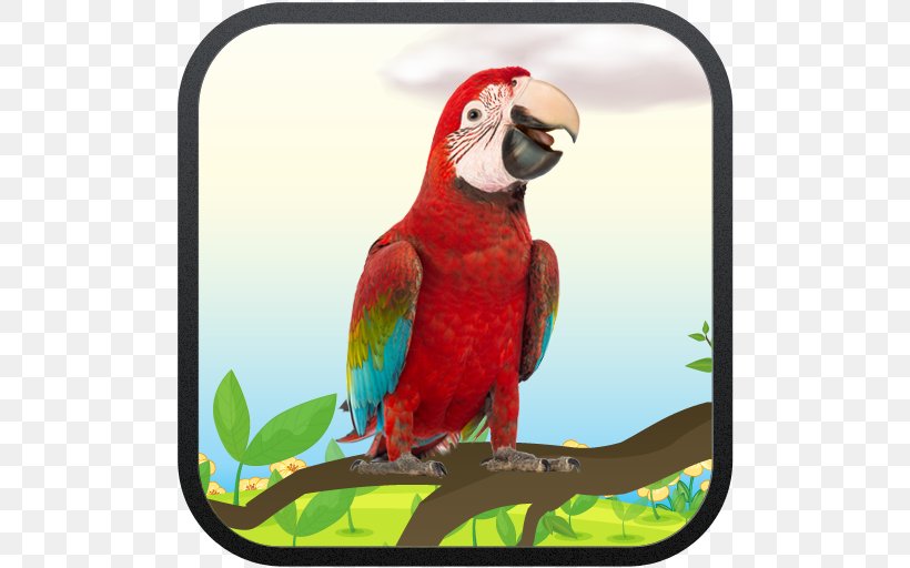 Macaw My Talking Parrot Bird Talking Lion, PNG, 512x512px, Macaw, Android, Beak, Bird, Fauna Download Free