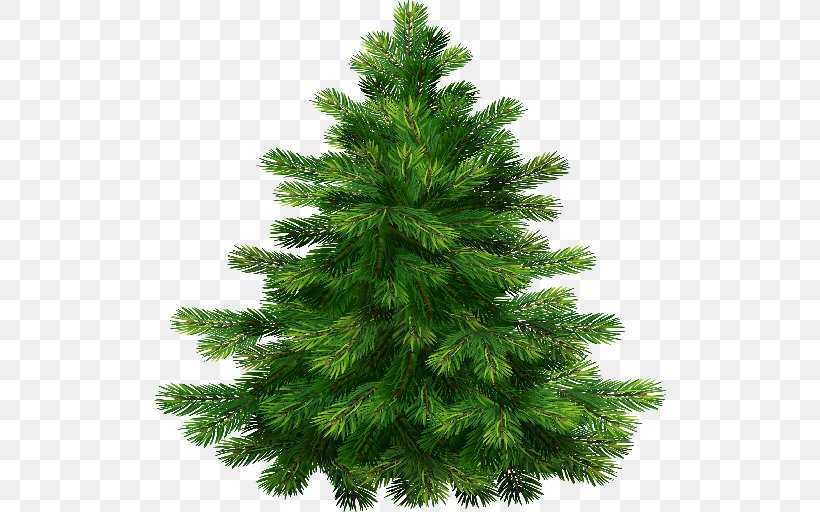 Noble Fir Pine Tree Clip Art, PNG, 512x512px, Noble Fir, Abies Grandis, Biome, Branch, Christmas Decoration Download Free