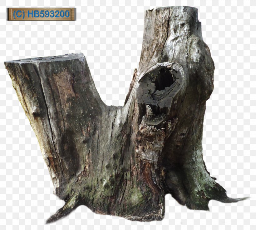 Tree Stump Trunk Root, PNG, 943x847px, Tree, Bark, Bud, Deviantart, Drawing Download Free