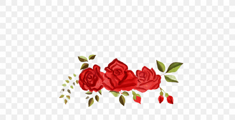 Garden Roses, PNG, 1440x736px, Garden Roses, Book Illustration, Cut Flowers, Floral Design, Flower Download Free