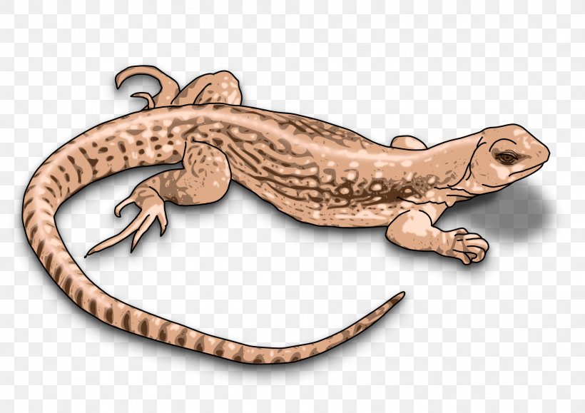 Komodo Dragon Lizard Clip Art, PNG, 1969x1392px, Komodo Dragon, Amphibian, Bearded Dragons, Drawing, Fauna Download Free