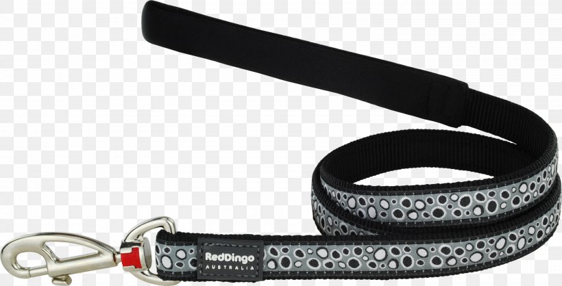 Leash Dog Collar Dingo Dog Collar, PNG, 3000x1532px, Leash, Auto Part, Car, Collar, Dingo Download Free