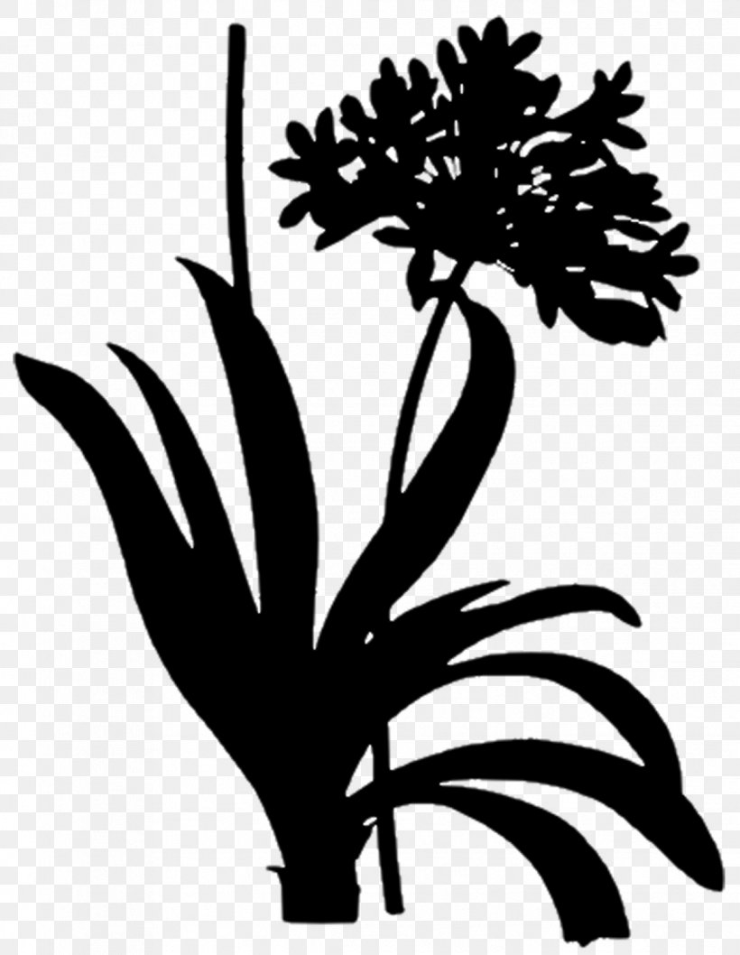 Arecales Leaf Floral Design Clip Art, PNG, 1239x1600px, Arecales, Blackandwhite, Book, Botany, Floral Design Download Free