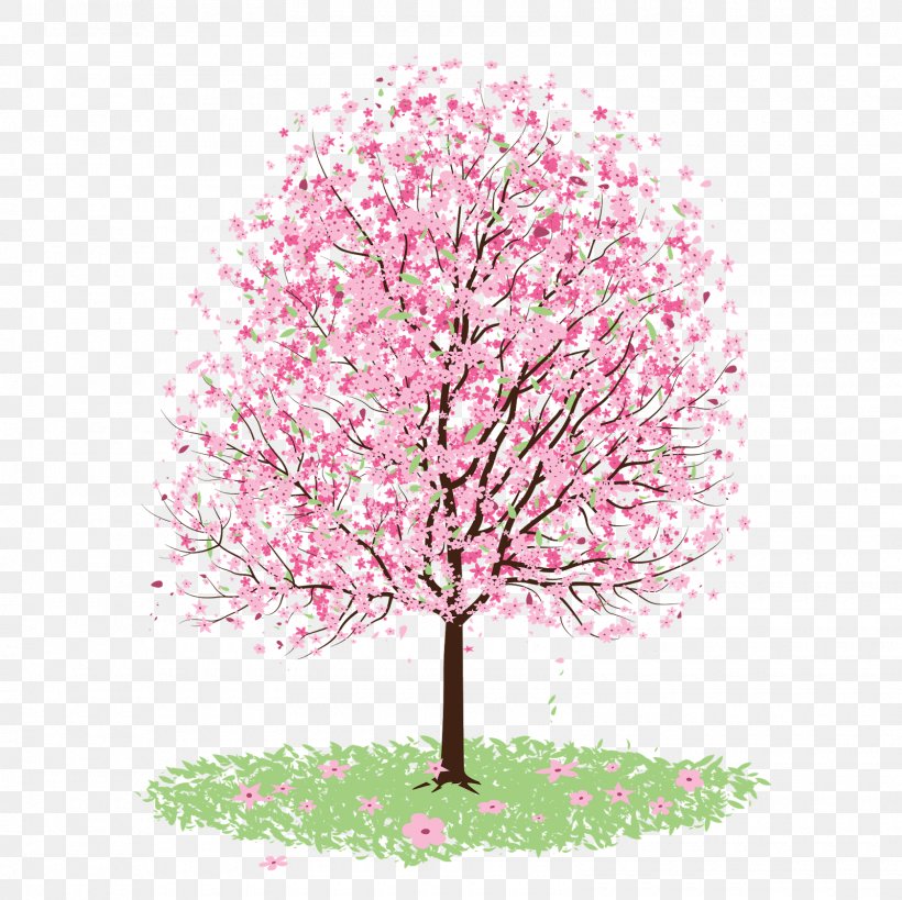 Cherry Blossom Clip Art, PNG, 1600x1600px, Cherry Blossom, Blossom, Branch, Cherry, Drawing Download Free