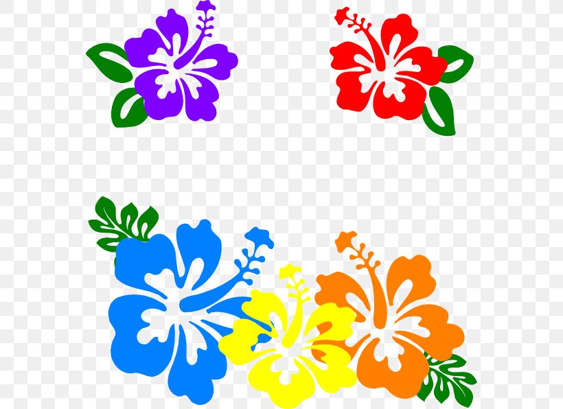 Hawaiian Flower Clip Art, PNG, 570x596px, Hawaii, Aloha, Artwork, Cut Flowers, Flora Download Free