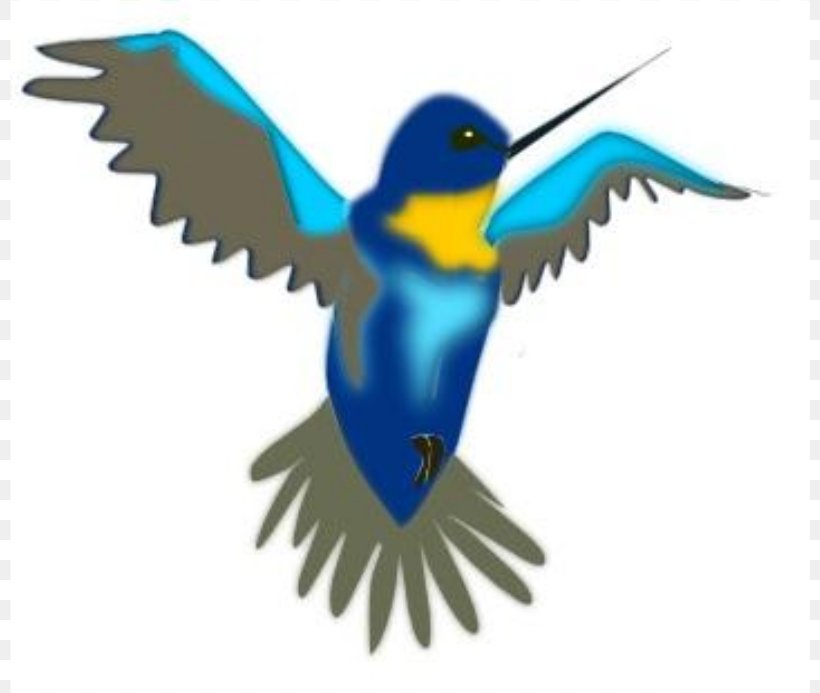 Hummingbird Cartoon Clip Art, PNG, 800x693px, Hummingbird, Animation, Beak, Bird, Bluebird Download Free