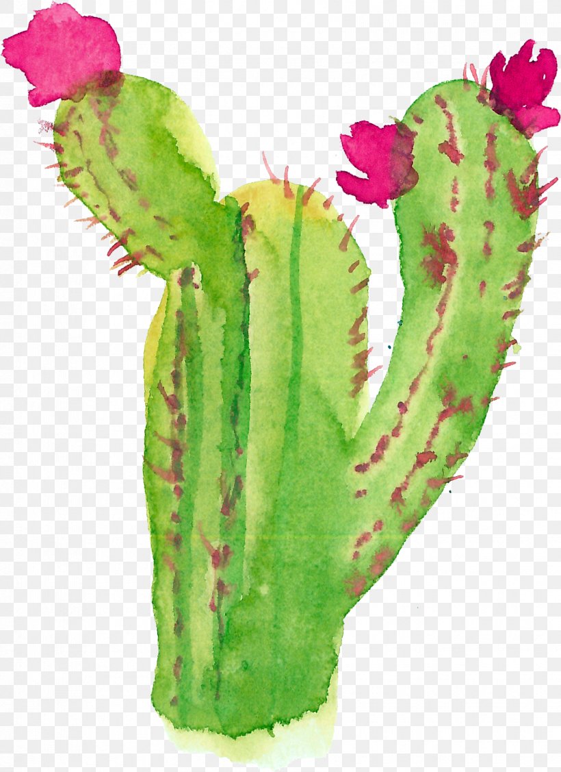 Modern Watercolor: A Playful And Contemporary Exploration Of Watercolor Painting Succulent Plant, PNG, 1675x2304px, Watercolor Painting, Cactaceae, Cactus, Canvas Print, Caryophyllales Download Free