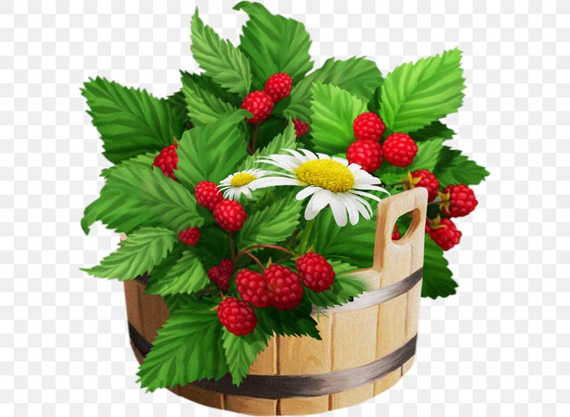Strawberry Raspberry Varenye Fruit Clip Art, PNG, 595x600px, Strawberry, Berry, Blue Raspberry Flavor, Flowerpot, Food Download Free