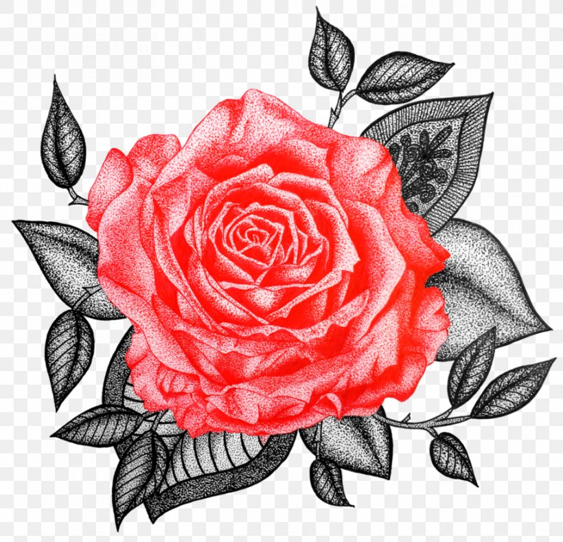 Garden Roses Cabbage Rose Floribunda Floral Design, PNG, 911x877px, Garden Roses, Art, Cabbage Rose, Cut Flowers, Drawing Download Free