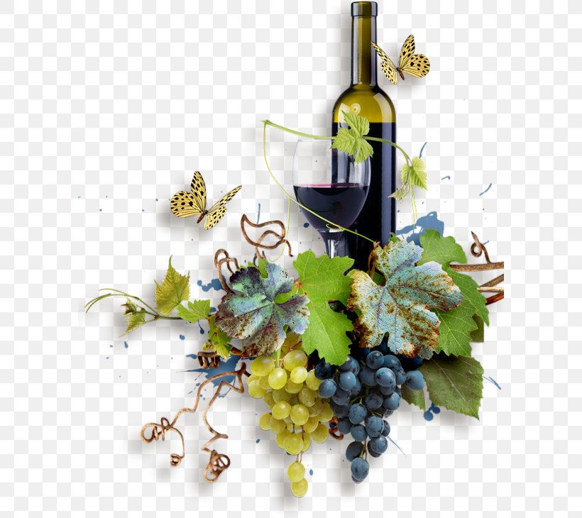 Grape White Wine Harvest Cardoland, PNG, 600x730px, Grape, Alcohol, Bottle, Drink, Glass Download Free