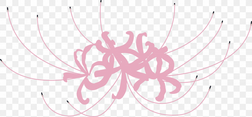 Hurricane Lily Flower, PNG, 3000x1404px, Hurricane Lily, Flower, Line, Ornament, Pink Download Free