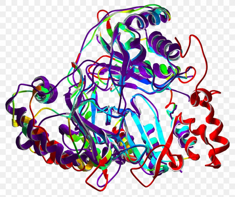 Protein Structure Enzyme Biological Organisation, PNG, 1000x839px, Protein, Acetylation, Art, Biological Organisation, Biology Download Free