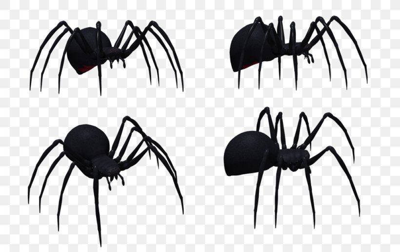 Widow Spiders Western Black Widow Image Spider Web, PNG, 1024x645px, Spider, Animal, Arachnid, Art, Arthropod Download Free