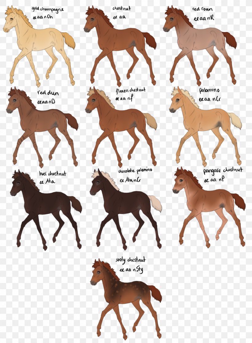 Appaloosa Mustang Foal Pony Chestnut, PNG, 1024x1393px, Watercolor, Cartoon, Flower, Frame, Heart Download Free
