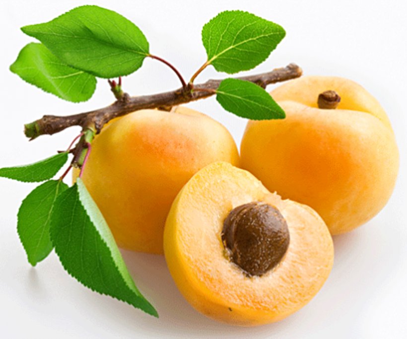 Apricot Oil Fruit Apricot Kernel Plum Blossom, PNG, 1800x1500px, Apricot, Amygdalin, Apricot Kernel, Apricot Oil, Diet Food Download Free